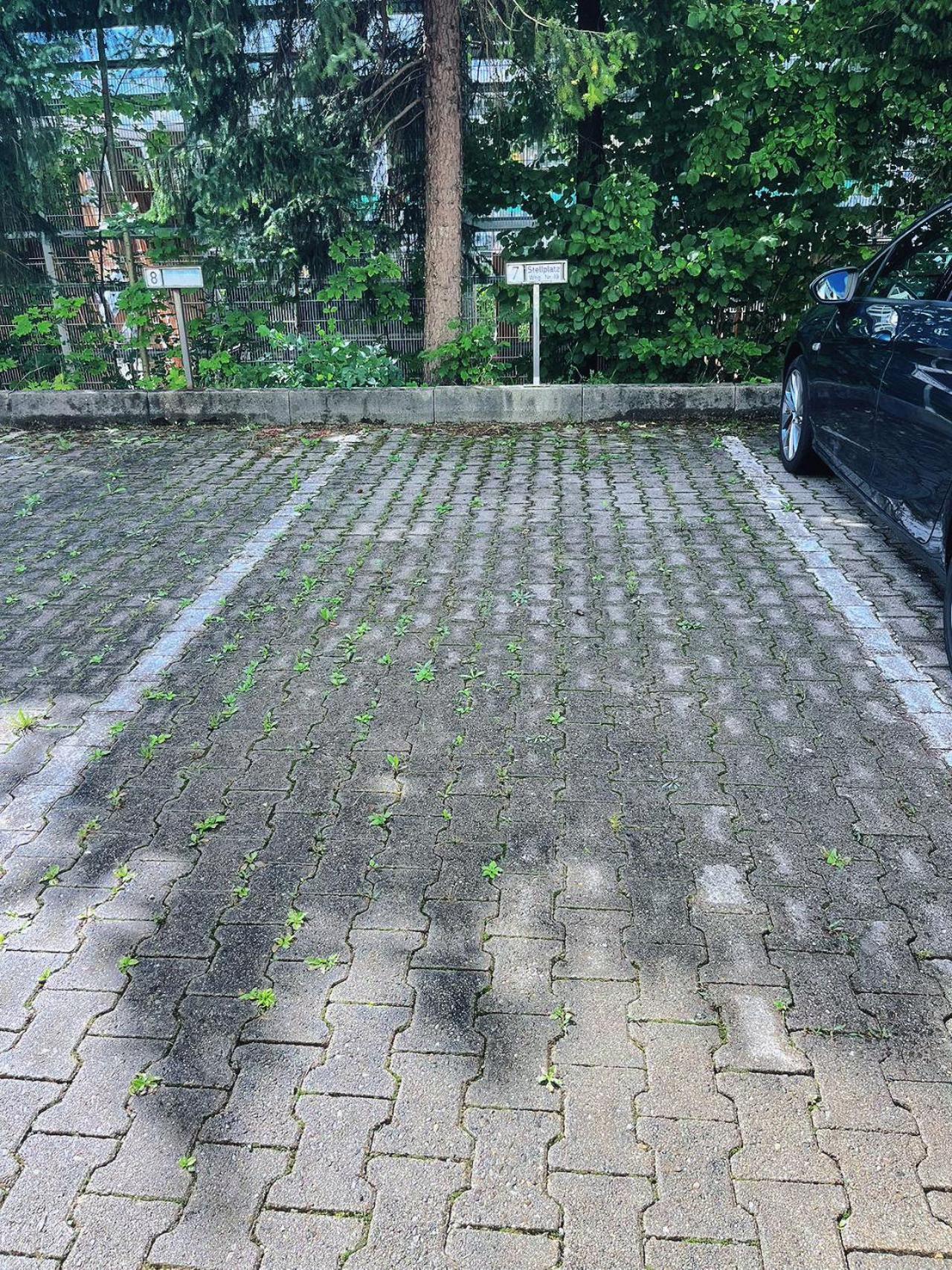 Grosszuegige Wohnung, Bergblick, Vintage Sonthofen Ngoại thất bức ảnh
